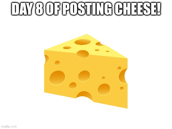 I accidentally did two day 7's lol | DAY 8 OF POSTING CHEESE! | image tagged in day 8 | made w/ Imgflip meme maker