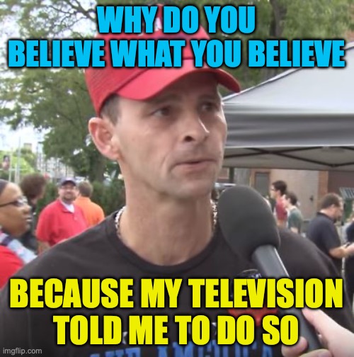 Trump supporter | WHY DO YOU BELIEVE WHAT YOU BELIEVE BECAUSE MY TELEVISION TOLD ME TO DO SO | image tagged in trump supporter | made w/ Imgflip meme maker