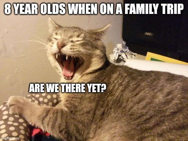 He scream | 8 YEAR OLDS WHEN ON A FAMILY TRIP; ARE WE THERE YET? | image tagged in cat screaming | made w/ Imgflip meme maker