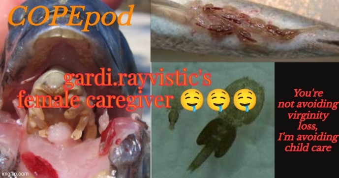 COPEpod's announcement template | gardi.rayvistic's female caregiver 🤤🤤🤤 | image tagged in copepod's announcement template | made w/ Imgflip meme maker