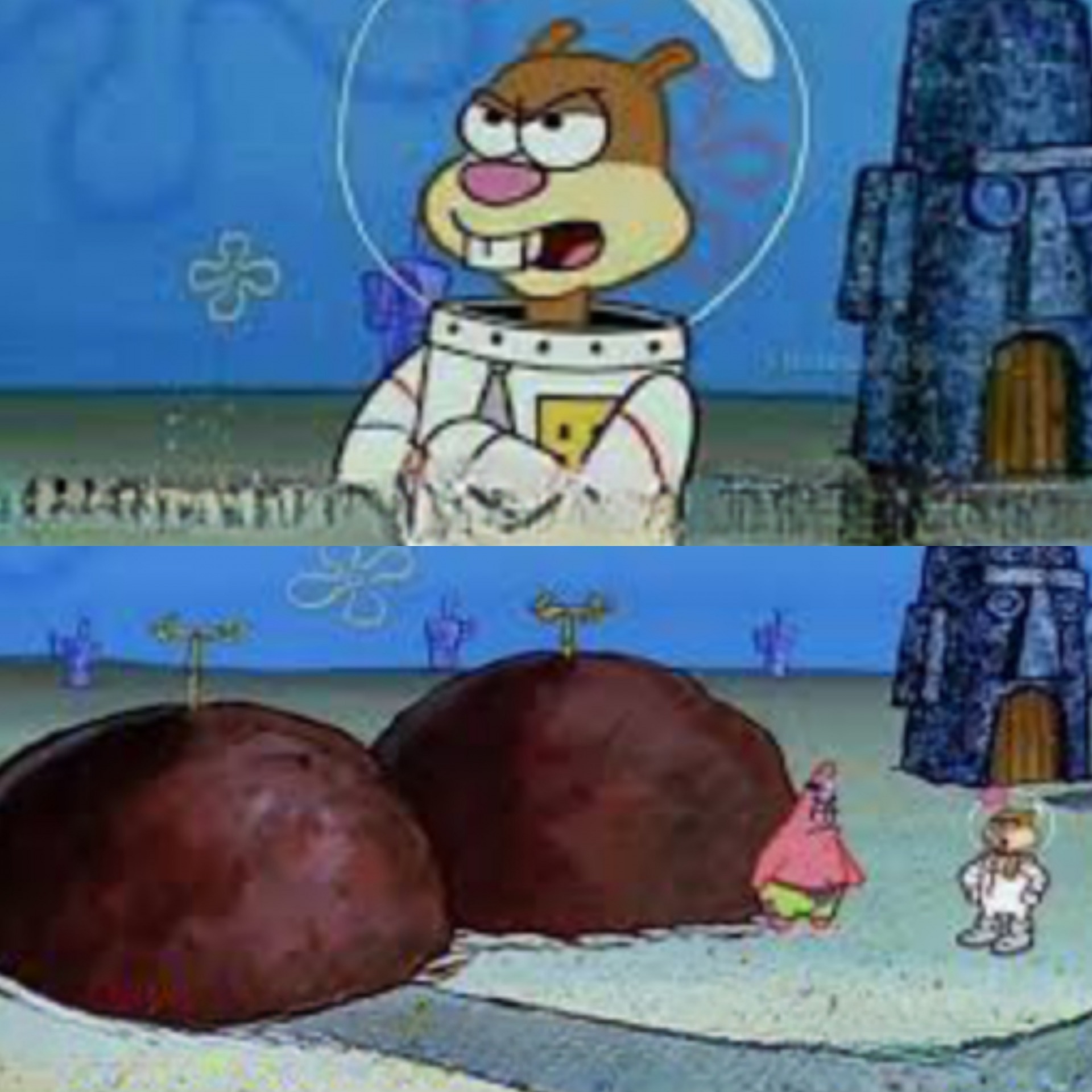 Ok patrick why you have 2 house Blank Meme Template