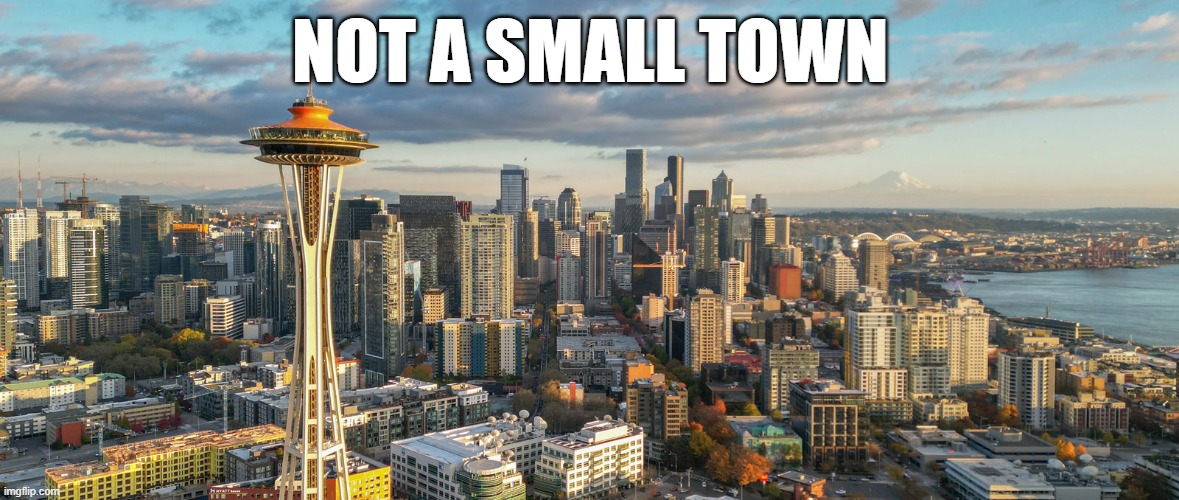 Seattle Wa | NOT A SMALL TOWN | image tagged in metro,seattle,filthy,homeless,crime,violence | made w/ Imgflip meme maker