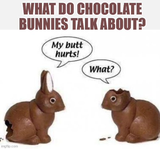 WHAT DO CHOCOLATE BUNNIES TALK ABOUT? | image tagged in eye roll,bunnies | made w/ Imgflip meme maker