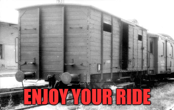 2nd Amend Reasons | ENJOY YOUR RIDE | image tagged in hitler,adolf hitler,holocaust,jews,second amendment,freedom | made w/ Imgflip meme maker