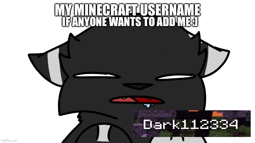 Idk :^ | MY MINECRAFT USERNAME; IF ANYONE WANTS TO ADD ME :] | image tagged in darkie confusion | made w/ Imgflip meme maker