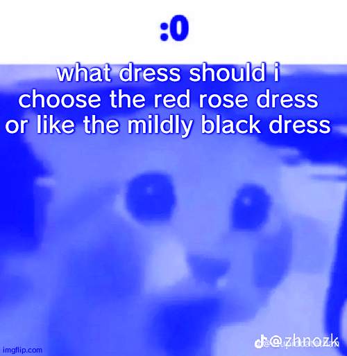 im going on a date so like yeah | what dress should i choose the red rose dress or like the mildly black dress | made w/ Imgflip meme maker