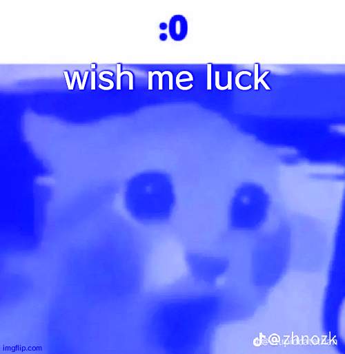 :0 | wish me luck | made w/ Imgflip meme maker