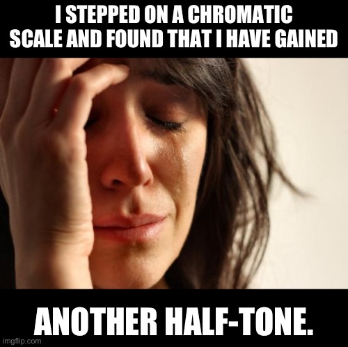 Scale | I STEPPED ON A CHROMATIC SCALE AND FOUND THAT I HAVE GAINED; ANOTHER HALF-TONE. | image tagged in memes,first world problems | made w/ Imgflip meme maker