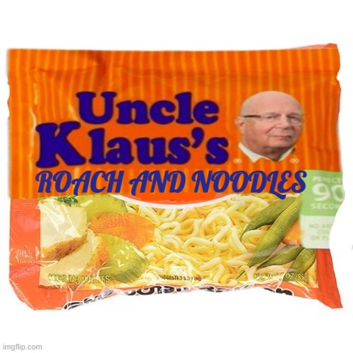 ROACH AND NOODLES | image tagged in klaus,cockroach,bugs | made w/ Imgflip meme maker