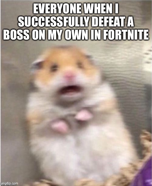 have you successfully done it before? | EVERYONE WHEN I SUCCESSFULLY DEFEAT A BOSS ON MY OWN IN FORTNITE | image tagged in scared hamster,fortnite | made w/ Imgflip meme maker
