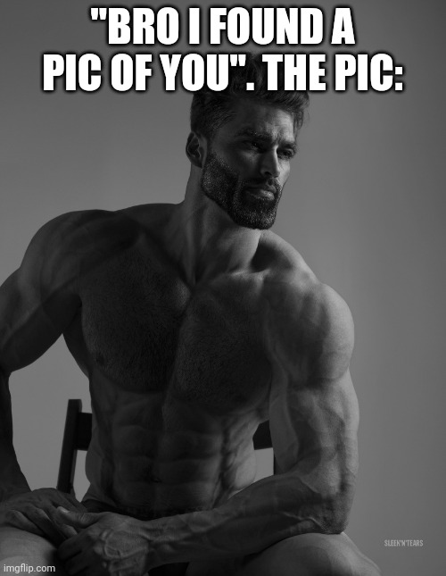 Giga Chad | "BRO I FOUND A PIC OF YOU". THE PIC: | image tagged in giga chad | made w/ Imgflip meme maker