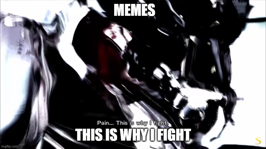 memes... this is why i fight | MEMES; THIS IS WHY I FIGHT | image tagged in memes | made w/ Imgflip meme maker