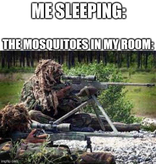 ME SLEEPING:; THE MOSQUITOES IN MY ROOM: | image tagged in blank white template,snipers team | made w/ Imgflip meme maker