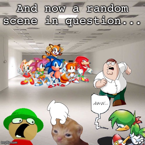 A guy pets the cat while a hedgehog is sad when he sees Sonic with his friends and not him while Peter is scared of them. | And now a random scene in question... | image tagged in empty room | made w/ Imgflip meme maker