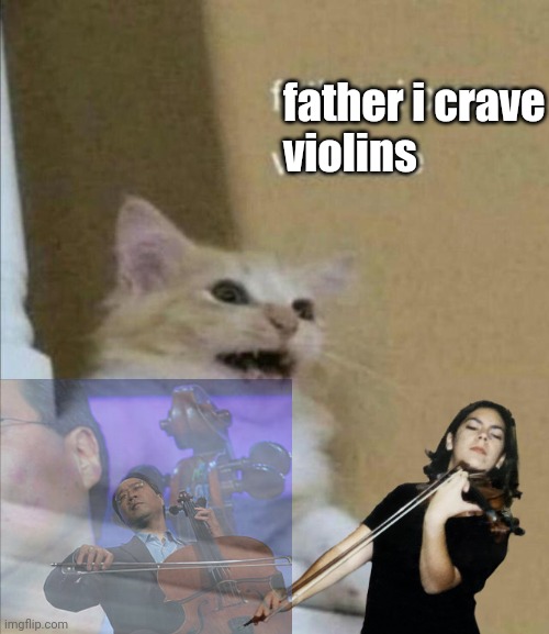 Violins | father i crave
violins | image tagged in father i crave violence,violin,violins | made w/ Imgflip meme maker