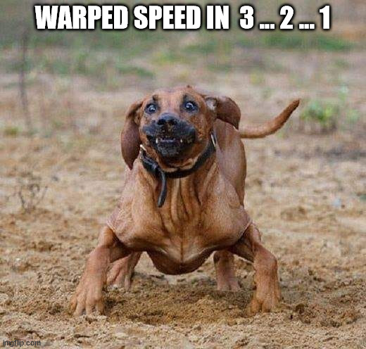 WARPED SPEED IN  3 ... 2 ... 1 | image tagged in durl earl | made w/ Imgflip meme maker