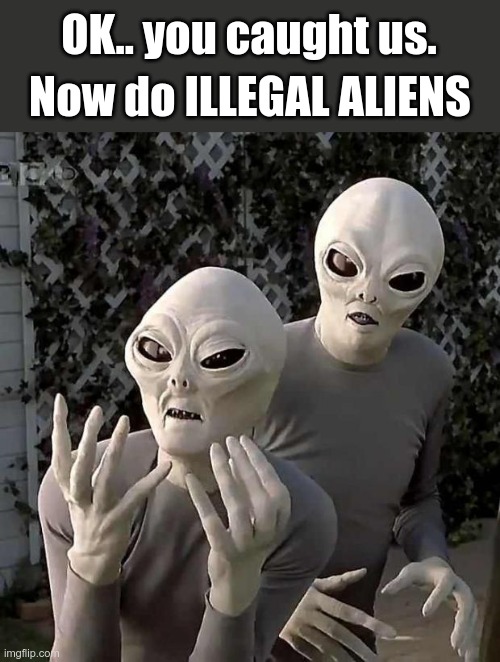 ALIENS | OK.. you caught us. Now do ILLEGAL ALIENS | image tagged in this is why aliens,space aliens,illegal aliens,illegal immigration | made w/ Imgflip meme maker