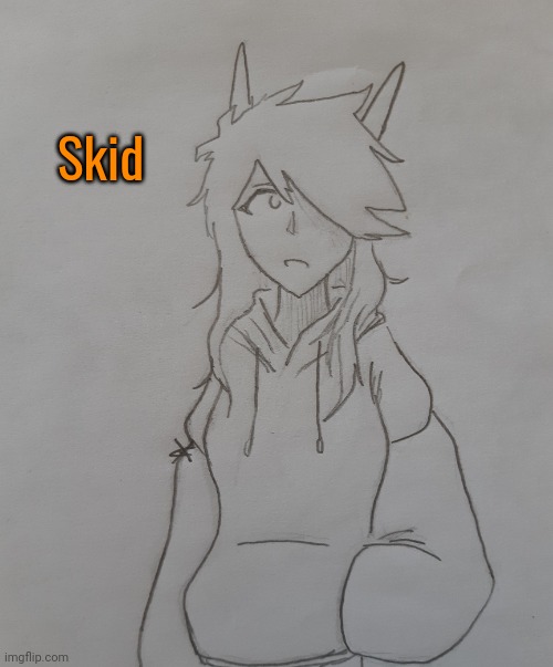 Skid | made w/ Imgflip meme maker