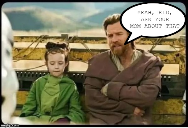 Leia Asks | YEAH, KID, ASK YOUR MOM ABOUT THAT | image tagged in star wars | made w/ Imgflip meme maker