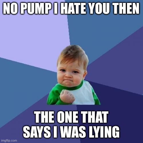 Do I hate you? Yes? | NO PUMP I HATE YOU THEN; THE ONE THAT SAYS I WAS LYING | image tagged in memes,success kid | made w/ Imgflip meme maker