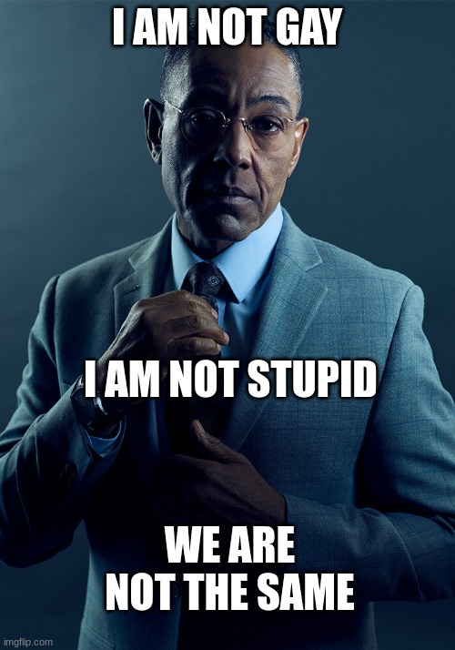 breaking bad | I AM NOT GAY; I AM NOT STUPID; WE ARE NOT THE SAME | image tagged in gus fring we are not the same | made w/ Imgflip meme maker