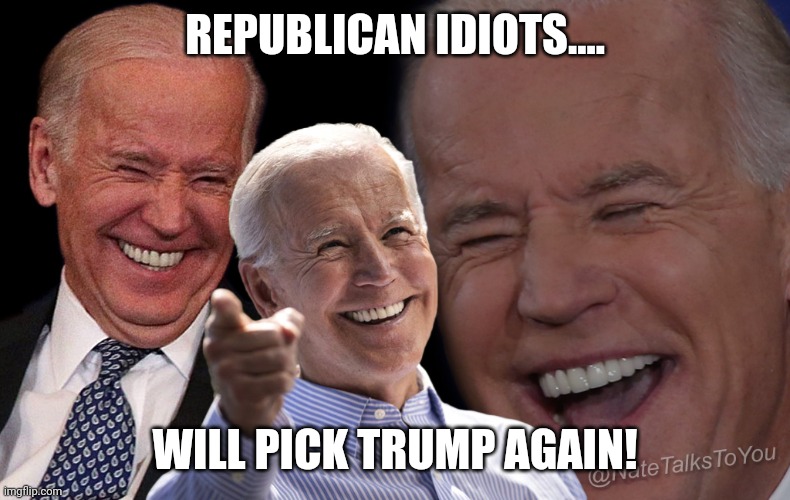 Picking a loser again | REPUBLICAN IDIOTS.... WILL PICK TRUMP AGAIN! | image tagged in trump,conservative,republican,democrat,joe biden,liberal | made w/ Imgflip meme maker