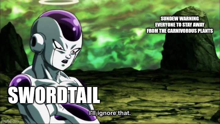 Swordtail | SUNDEW WARNING EVERYONE TO STAY AWAY FROM THE CARNIVOROUS PLANTS; SWORDTAIL | image tagged in frieza dragon ball super i'll ignore that | made w/ Imgflip meme maker
