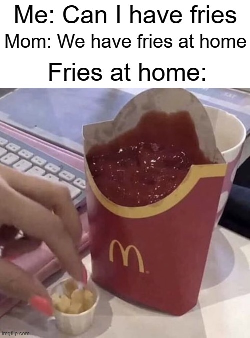 hehe funni | Me: Can I have fries; Mom: We have fries at home; Fries at home: | image tagged in ketchup with a side of fries | made w/ Imgflip meme maker