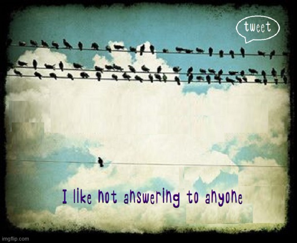 Friends are great... | image tagged in vince vance,birds,bird on a wire,friends,loneliness,memes | made w/ Imgflip meme maker