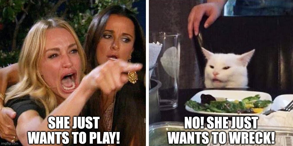 This is about my cat | SHE JUST WANTS TO PLAY! NO! SHE JUST WANTS TO WRECK! | image tagged in smudge the cat,memes | made w/ Imgflip meme maker