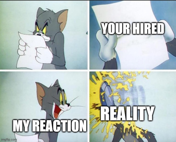 tom gets hired by Ubisoft | YOUR HIRED; REALITY; MY REACTION | image tagged in tom and jerry pie | made w/ Imgflip meme maker