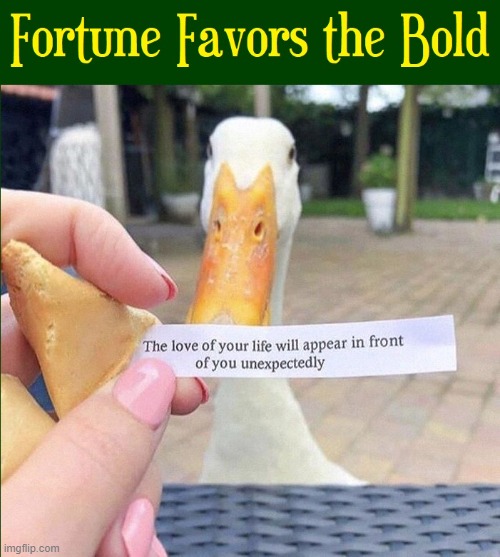 Intra-Species Dating is in your Future | image tagged in vince vance,ducks,fortune cookie,love,memes,fortune favors the bold | made w/ Imgflip meme maker