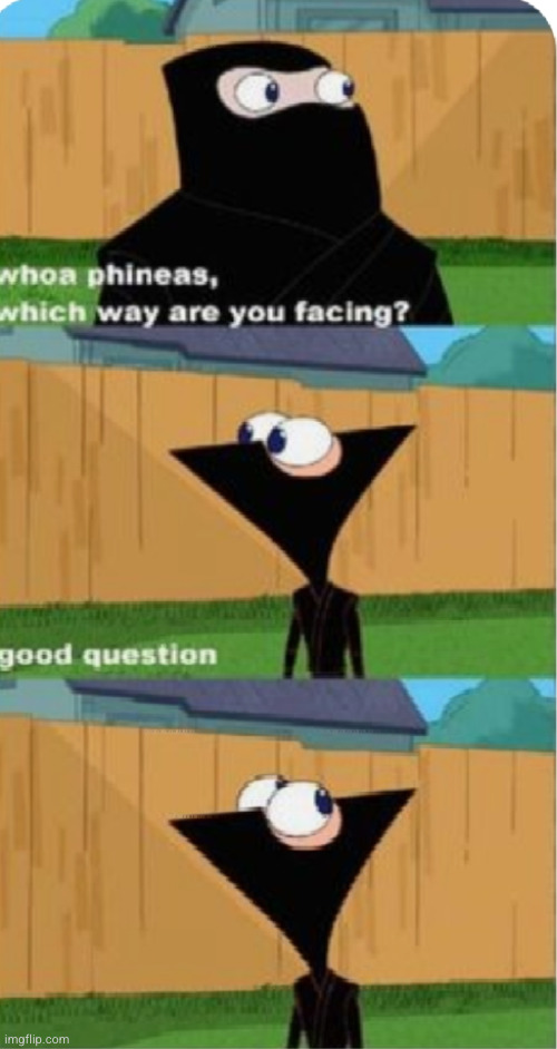 could be anywhere... | image tagged in phineas and ferb,what the heck,comics,ninja,cartoon network,huh | made w/ Imgflip meme maker
