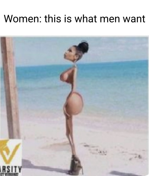 curves in JUST the right places | Women: this is what men want | image tagged in women,men,funny,beach,bikini,lolol | made w/ Imgflip meme maker