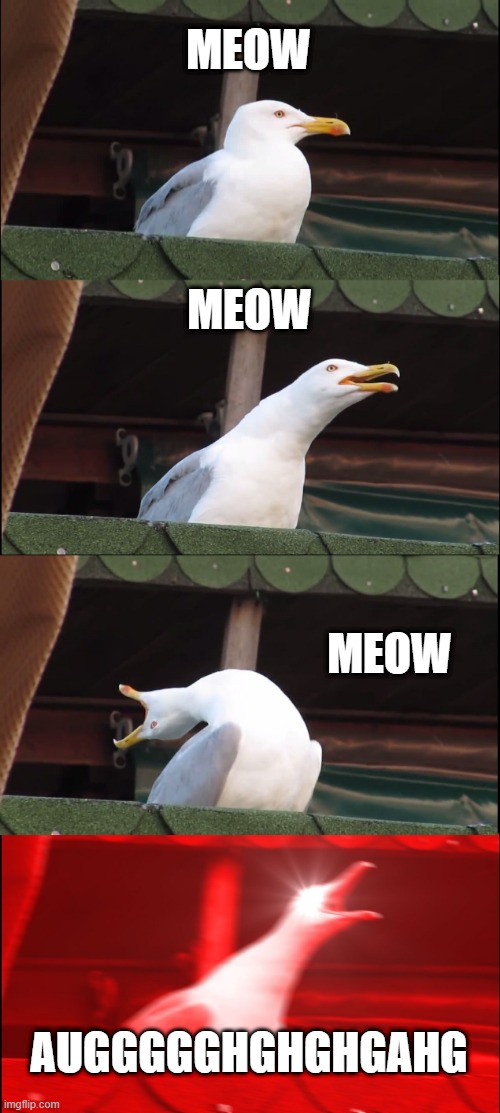 Inhaling Seagull Meme | MEOW; MEOW; MEOW; AUGGGGGHGHGHGAHG | image tagged in memes,inhaling seagull,meow meow meow augh | made w/ Imgflip meme maker