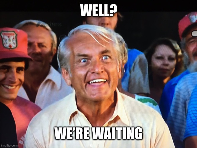 Caddyshack we're waiting | WELL? WE’RE WAITING | image tagged in caddyshack we're waiting | made w/ Imgflip meme maker