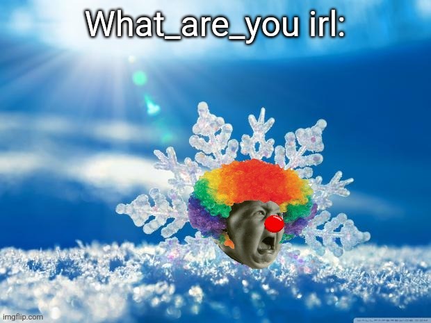 Baby snowflake bozo | What_are_you irl: | image tagged in baby snowflake bozo | made w/ Imgflip meme maker