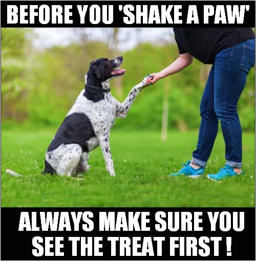 A Dogs Advice | BEFORE YOU 'SHAKE A PAW'; ALWAYS MAKE SURE YOU
SEE THE TREAT FIRST ! | image tagged in dogs,handshake,treats | made w/ Imgflip meme maker
