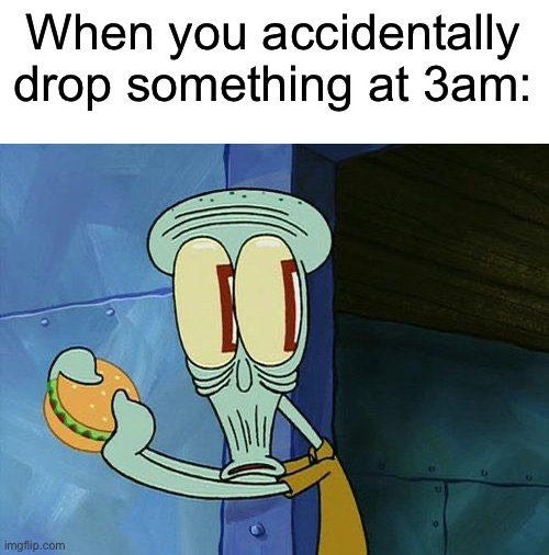 Oh no | When you accidentally drop something at 3am: | image tagged in oh shit squidward,memes,funny,relatable | made w/ Imgflip meme maker