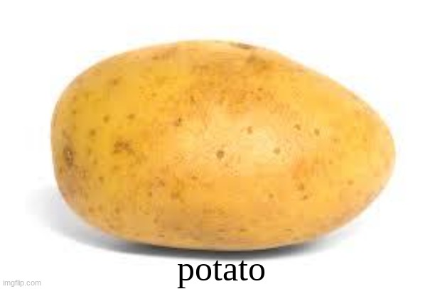 potato | potato | image tagged in potato | made w/ Imgflip meme maker