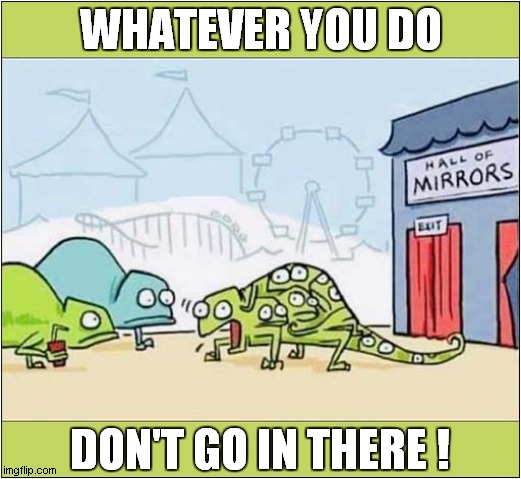Chameleon Nightmare ! | WHATEVER YOU DO; DON'T GO IN THERE ! | image tagged in fun,chameleon,mirrors | made w/ Imgflip meme maker