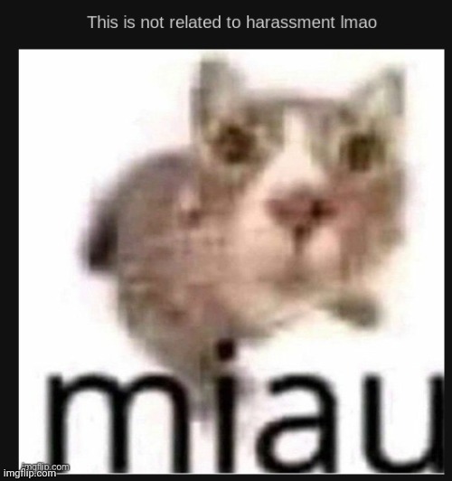 miau | image tagged in miau | made w/ Imgflip meme maker