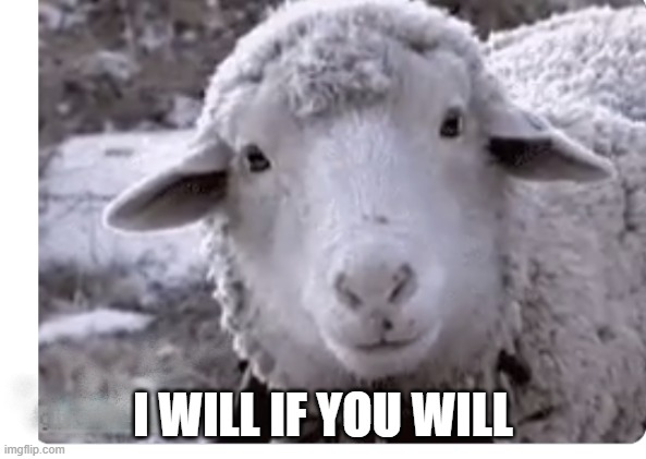 sheeple | I WILL IF YOU WILL | image tagged in sheep,sheeple,stupid sheep,npc meme,npc | made w/ Imgflip meme maker