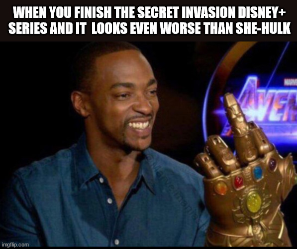 The look of disappointment after Secret Invasion | WHEN YOU FINISH THE SECRET INVASION DISNEY+ SERIES AND IT  LOOKS EVEN WORSE THAN SHE-HULK | image tagged in marvel falcon gauntlet bird | made w/ Imgflip meme maker