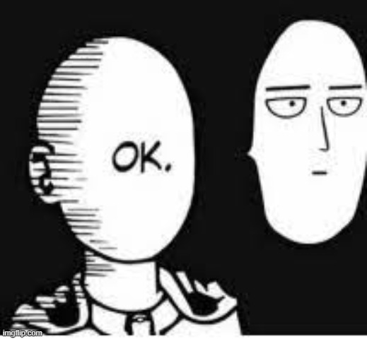 Ok. | image tagged in ok | made w/ Imgflip meme maker