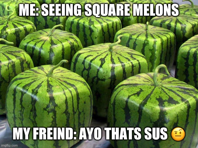 mincraft melons | ME: SEEING SQUARE MELONS; MY FREIND: AYO THATS SUS 🤨 | image tagged in minecraft melons | made w/ Imgflip meme maker