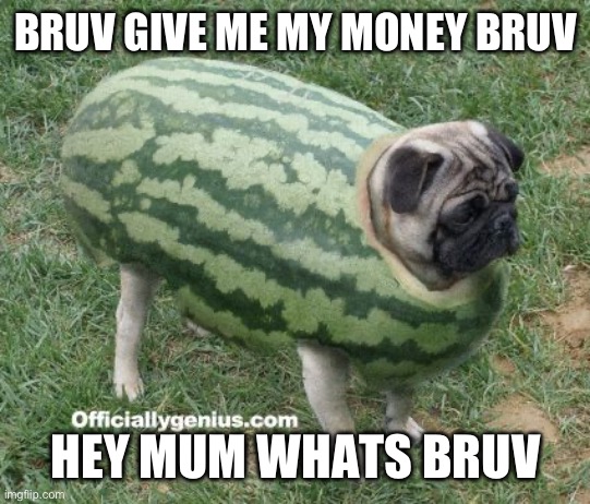 british people | BRUV GIVE ME MY MONEY BRUV; HEY MUM WHATS BRUV | image tagged in watermelon pug | made w/ Imgflip meme maker