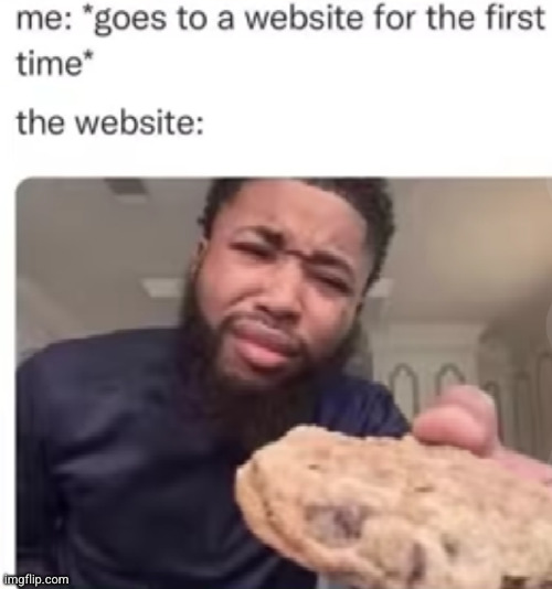 hey you want cookies???.....fine..... | image tagged in cookies,website,so true,relatable,annoying,funny | made w/ Imgflip meme maker