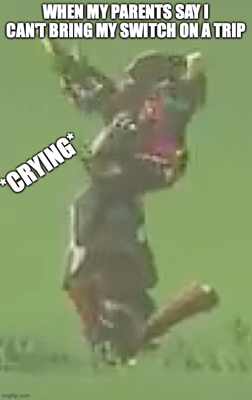 Bokoblin Crying Meme | WHEN MY PARENTS SAY I CAN'T BRING MY SWITCH ON A TRIP; *CRYING* | image tagged in zelda,monster,funny,cry | made w/ Imgflip meme maker