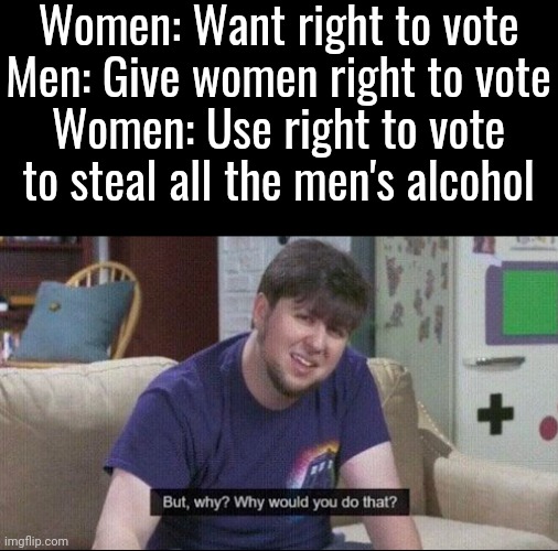 But why why would you do that? | Women: Want right to vote
Men: Give women right to vote
Women: Use right to vote to steal all the men's alcohol | image tagged in but why why would you do that | made w/ Imgflip meme maker